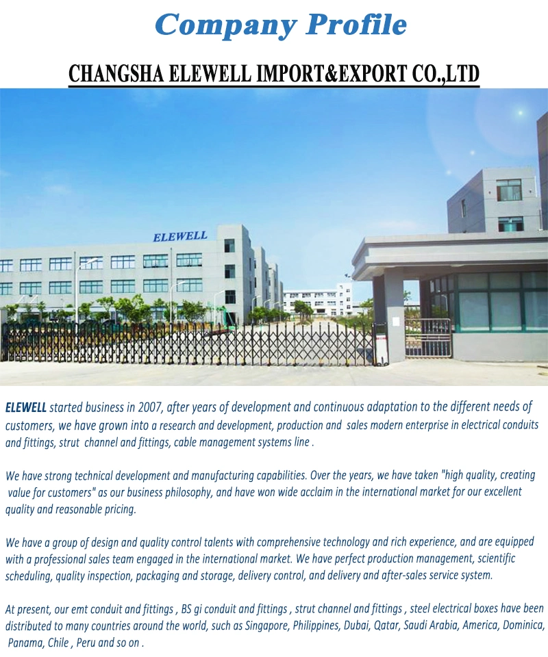 Galvanized Steel 電気 Flexible Conduit for Wire and Cable Protection