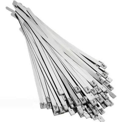 4.6*200mm Stainless Steel Cable Ties black or silver 304 Metal Cable Tie